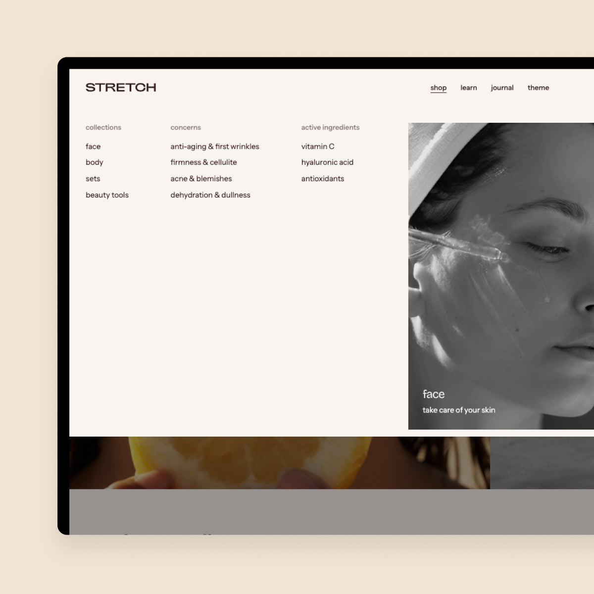 stretch-demo tf-mega-menu